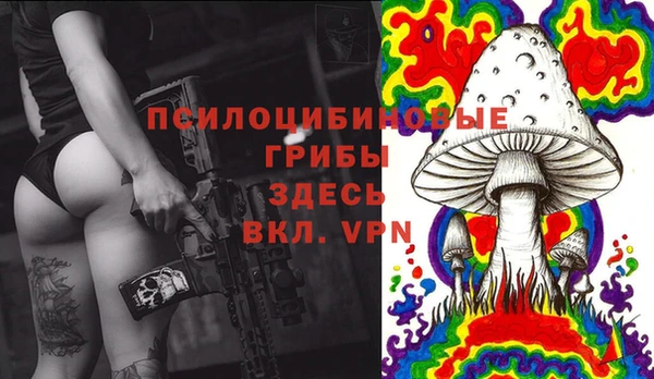 ПСИЛОЦИБИНОВЫЕ ГРИБЫ Алексеевка