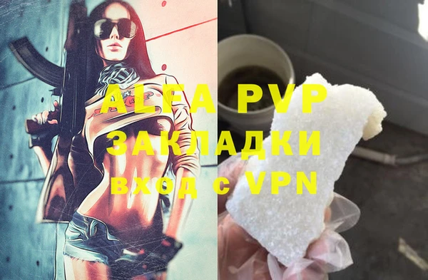 ECSTASY Алзамай