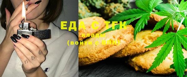 ECSTASY Алзамай